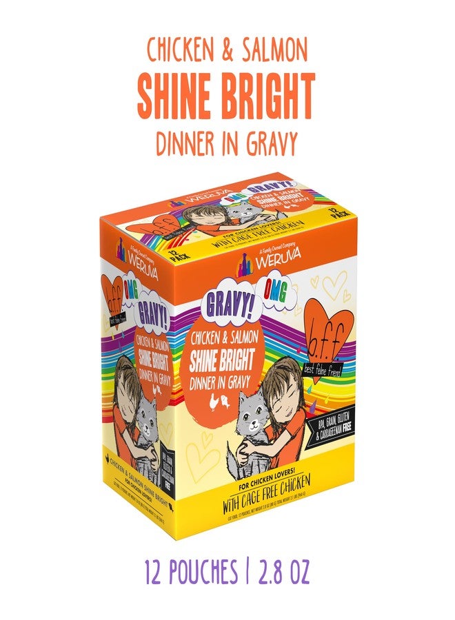 Weruva B.F.F. OMG - Best Feline Friend Oh My Gravy!, Chicken & Salmon Shine Bright with Chicken & Salmon in Gravy, 2.8oz Pouch (Pack of 12) - Image 2