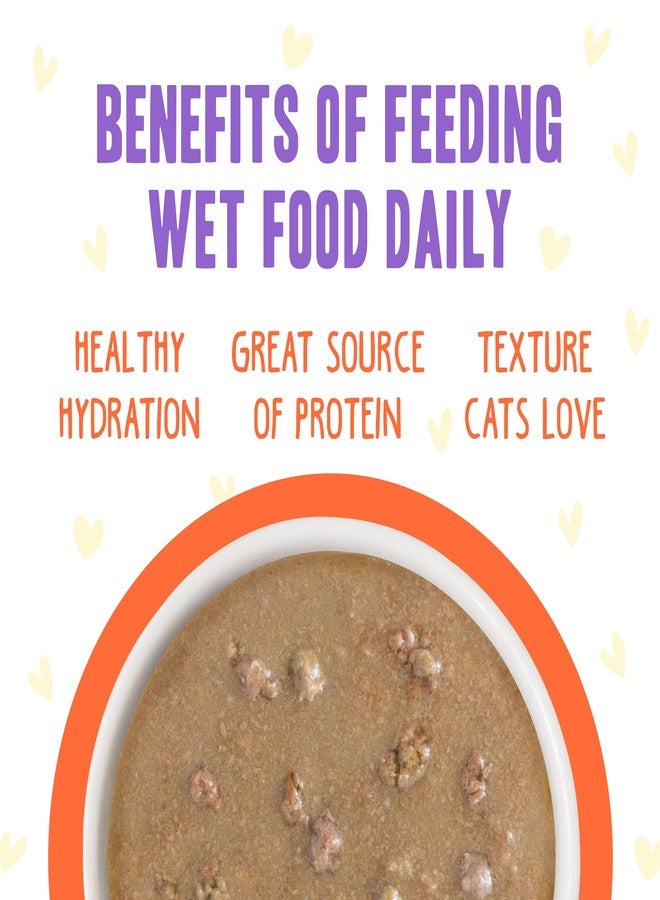 Weruva B.F.F. OMG - Best Feline Friend Oh My Gravy!, Chicken & Salmon Shine Bright with Chicken & Salmon in Gravy, 2.8oz Pouch (Pack of 12) - Image 5