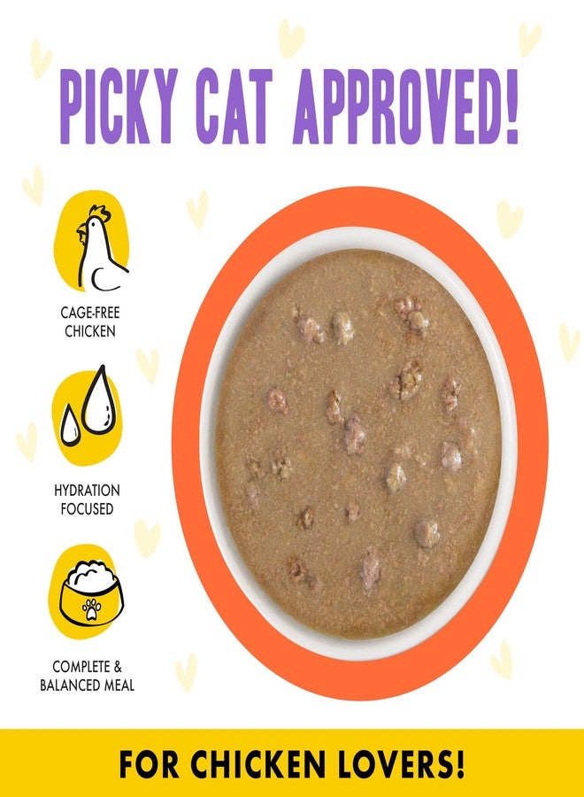 Weruva B.F.F. OMG - Best Feline Friend Oh My Gravy!, Chicken & Salmon Shine Bright with Chicken & Salmon in Gravy, 2.8oz Pouch (Pack of 12) - Image 3