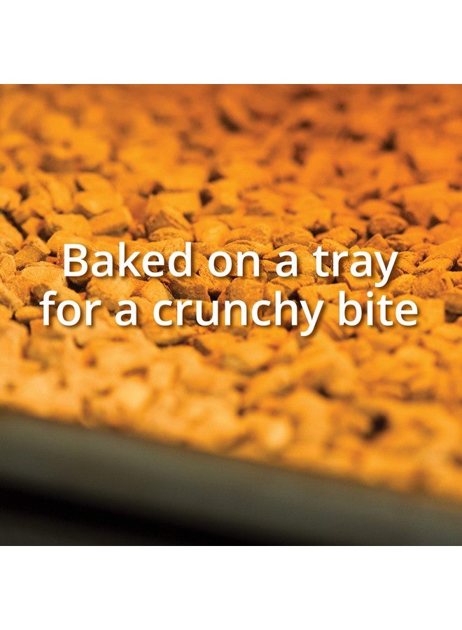 كاتيت مكافآت القطط من كاتيت نيبلي، مكافآت صحية مخبوزة، سمك السلمون، 3.2 أونصة - Image 3