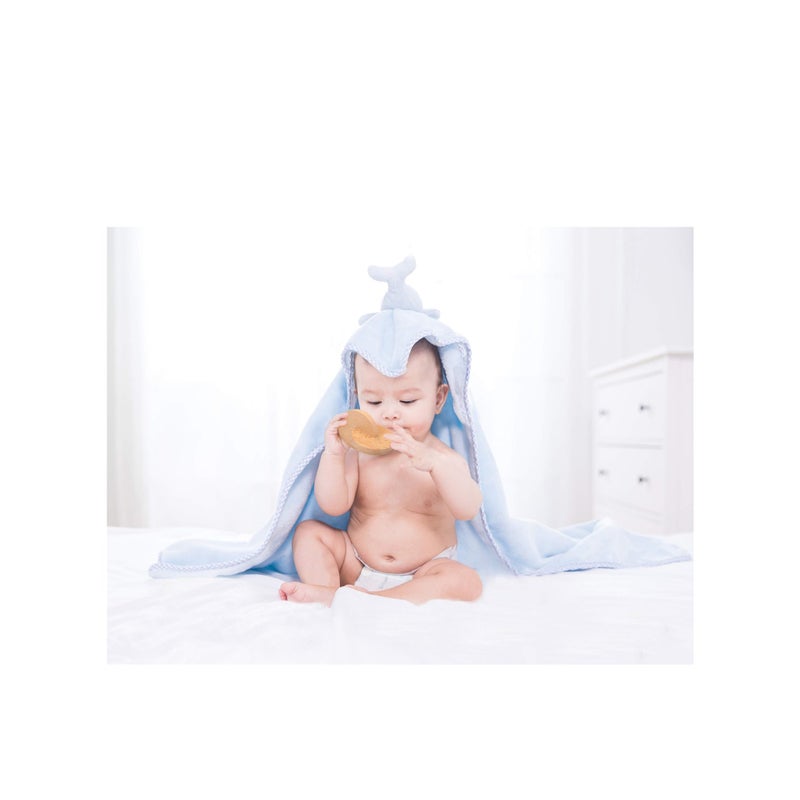 SOLARAE Materials Wooden Educational Interlocking Discs Sensory Toys for Wooden Toys for Toddlers Wooden Toy Eco Friendly NonToxic Organic Wooden - Image 3