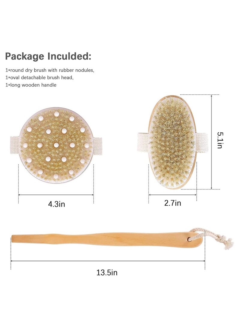 مجموعة فرشاة الجسم الجافة من قطعتين، فرشاة تقشير البشرة الجافة، فرشاة تقشير الظهر بمقبض طويل للاستحمام، فرشاة جافة للسيلوليت والتدليك، تحسين الدورة الدموية - Image 2