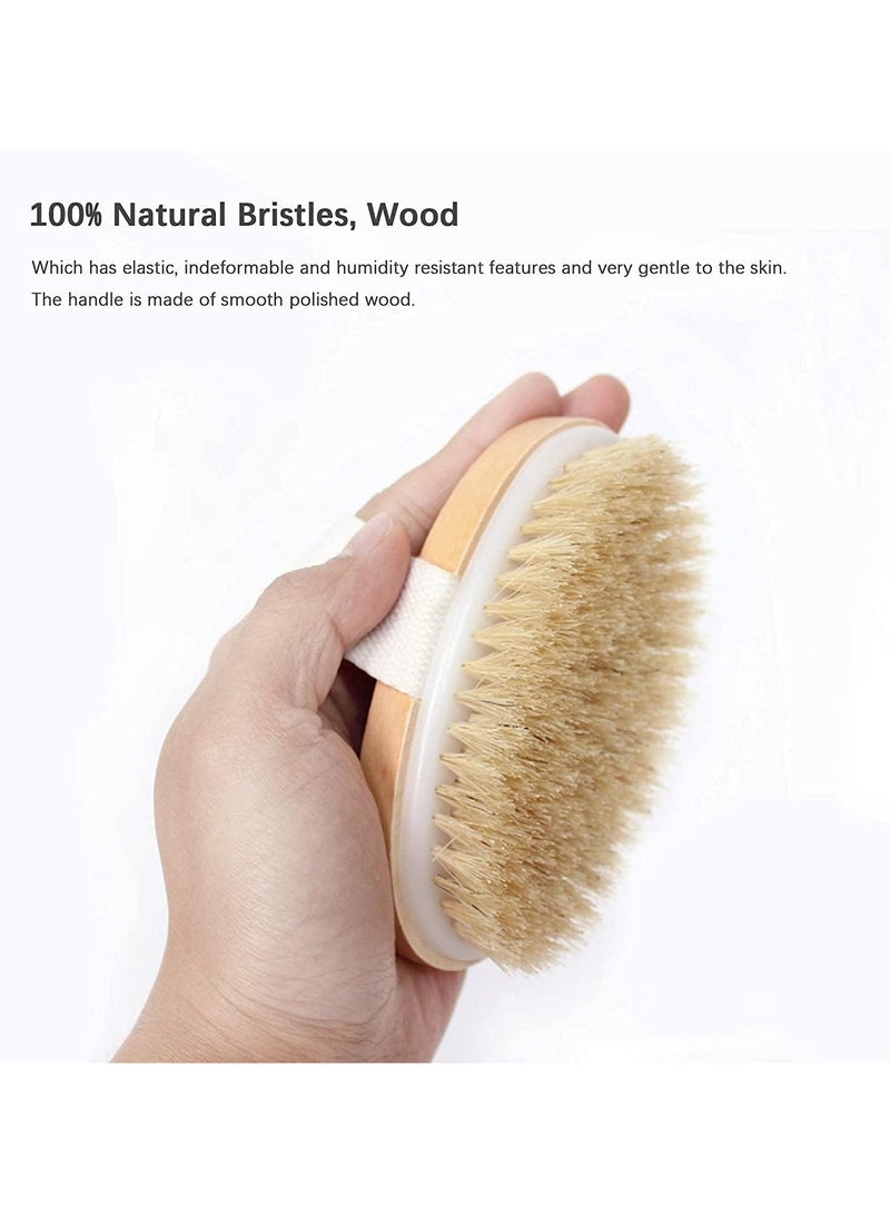 مجموعة فرشاة الجسم الجافة من قطعتين، فرشاة تقشير البشرة الجافة، فرشاة تقشير الظهر بمقبض طويل للاستحمام، فرشاة جافة للسيلوليت والتدليك، تحسين الدورة الدموية - Image 3