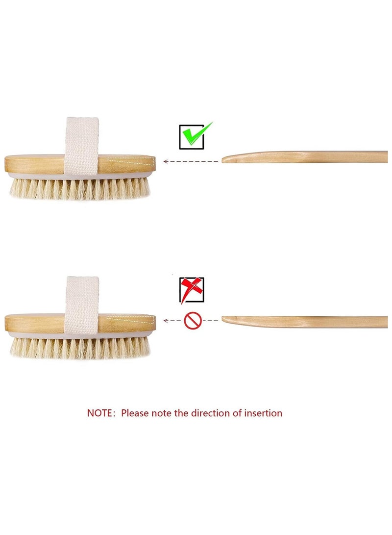 مجموعة فرشاة الجسم الجافة من قطعتين، فرشاة تقشير البشرة الجافة، فرشاة تقشير الظهر بمقبض طويل للاستحمام، فرشاة جافة للسيلوليت والتدليك، تحسين الدورة الدموية - Image 5