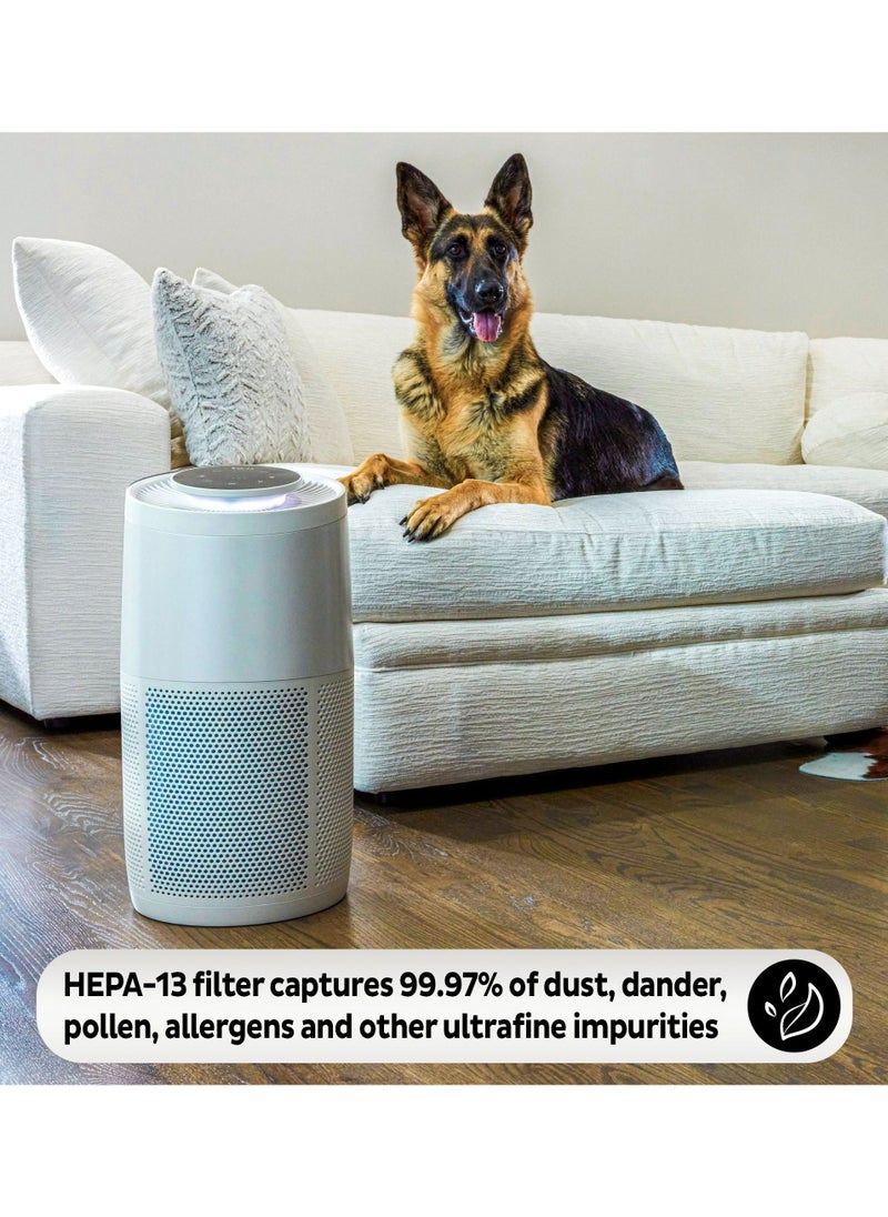 Instant HEPA Air Purifier Replacement Filter for Home Allergens & Pet Danders, Removes Dust, Smoke, & Pollen with Plasma Ion Technology, For AP300