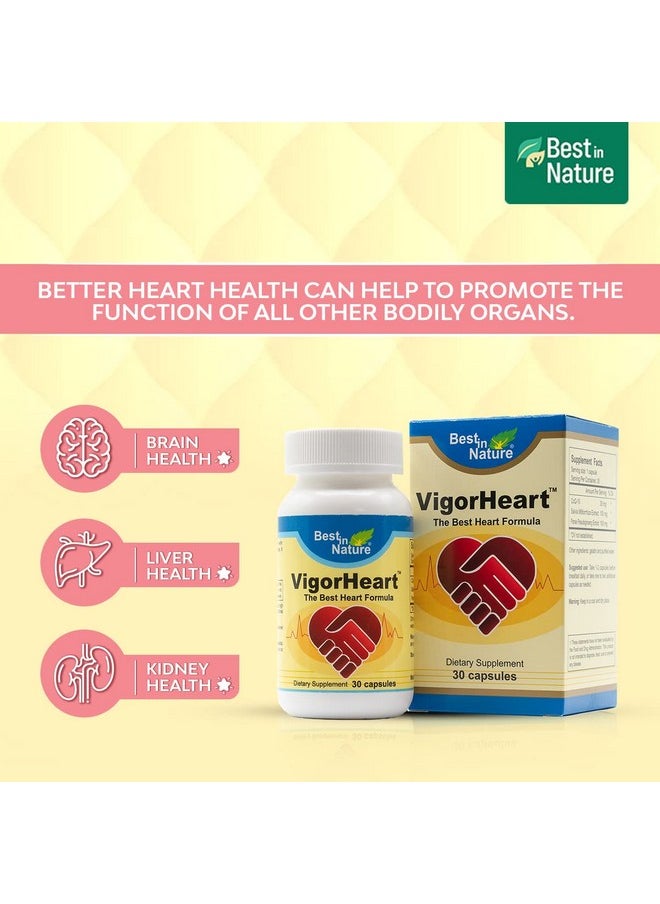 Best in Nature - Vigorheartthe Natural Heart Supplements Pills With Coq 10 Salvia Miltiorrhiza And Panax Pesudoginseng (30 Capsules) - Image 1