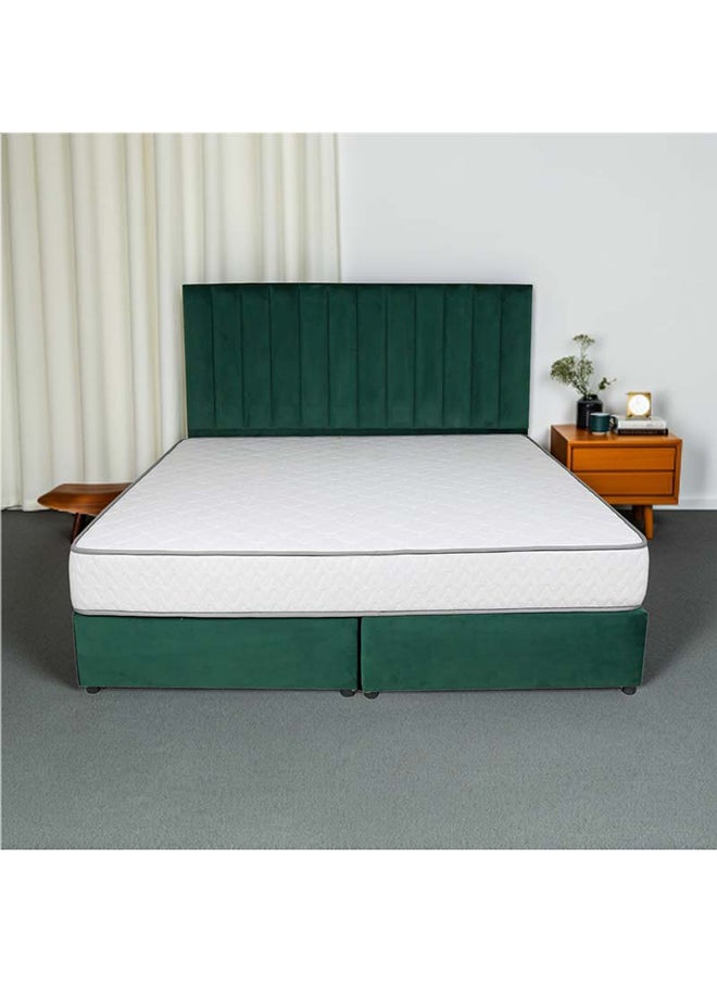 Bed and Mattress Zone Opulence Upholstered Bed 200x150 Queen Size Green Color  - Image 1
