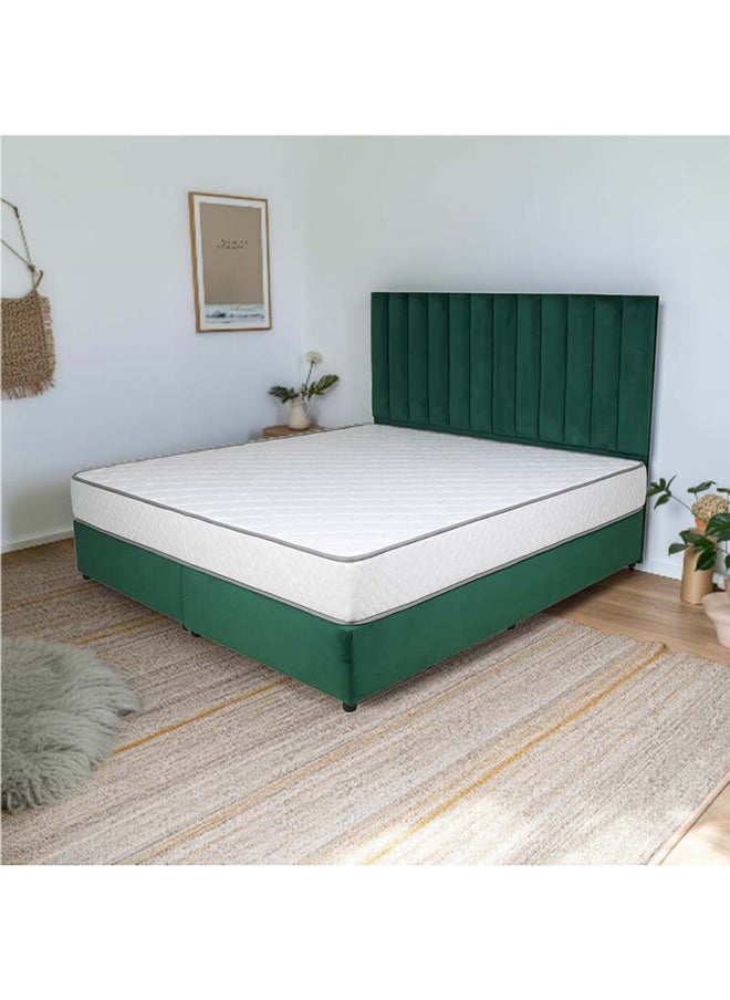 Bed and Mattress Zone Opulence Upholstered Bed 200x150 Queen Size Green Color  - Image 5