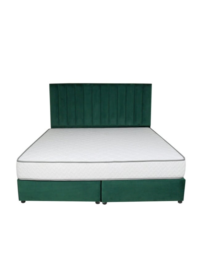 Bed and Mattress Zone Opulence Upholstered Bed 200 X 150 Queen Size Green Color  - Image 1