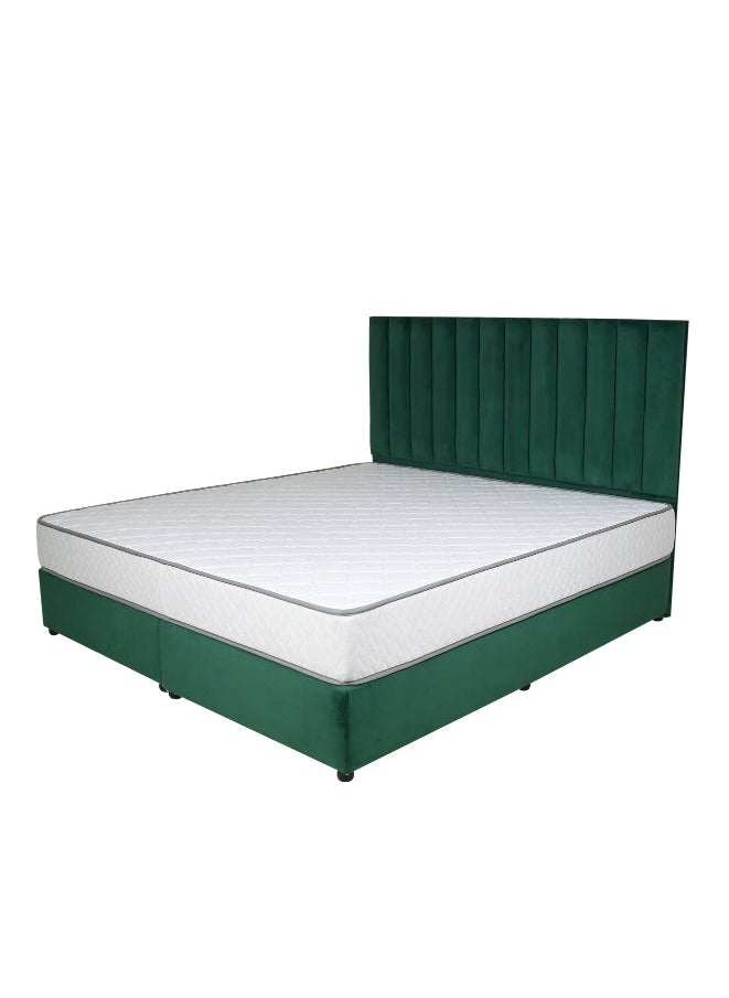 Bed and Mattress Zone Opulence Upholstered Bed 200 X 150 Queen Size Green Color  - Image 2