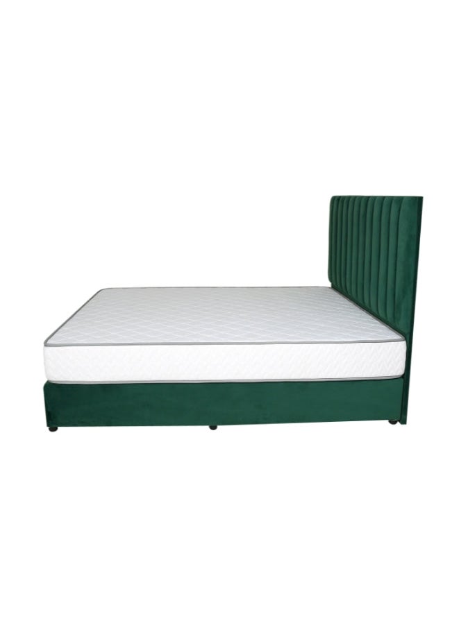 Bed and Mattress Zone Opulence Upholstered Bed 200 X 150 Queen Size Green Color  - Image 3
