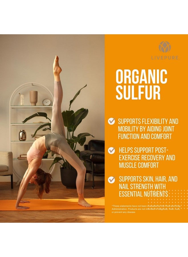 PURE مسحوق الكبريت العضوي النقي | 14.1 أونصة | مكمل MSM فائق الجودة لدعم المفاصل، العناية بالبشرة ونمو الشعر | 99.9% MSM | مكمل دعم المفاصل النباتي ومكمل الشعر، مسحوق MSM - Image 3