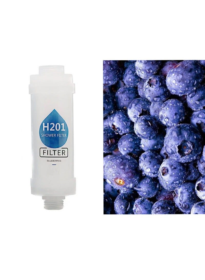 HaLunhi Shower Soaker，Vitamin C Shower Head Filter，Hard Water Softener， Chlorine and Fluoride Shower Filter，Water Purifying Filtration Shower Head with Beads，Healthy Skin，Easy Installation (Blueberries)  - Image 3