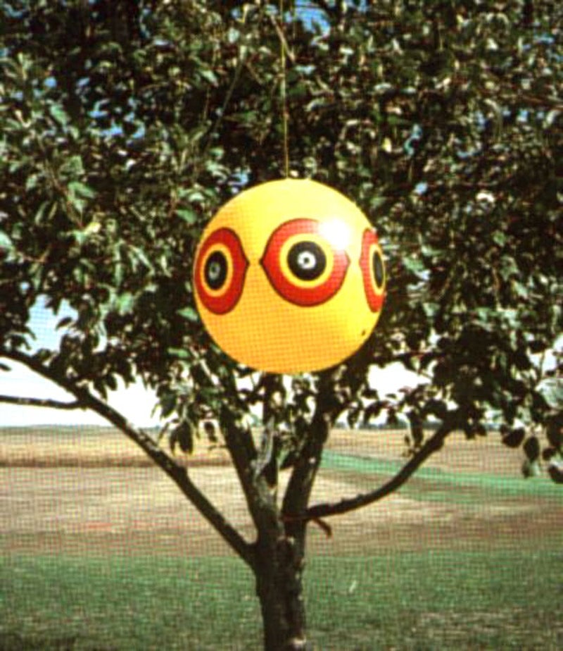 Bird-X Scare-Eye Balloon, Predator 3D Eye Balloons with Glaring Eyes and Bright Colors, Covers up to 6,000 sq. ft. Area, Pack of 1 Yellow Balloon - Image 5