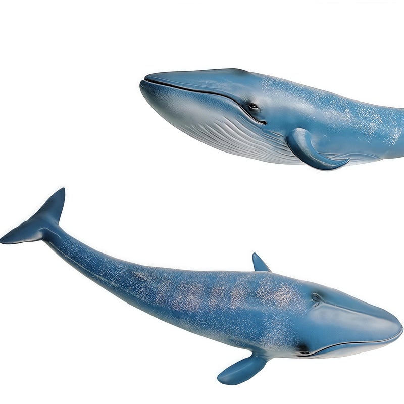 Gemini&Genius GeminiGenius Blue Whale Sea Animal Action Figure Ocean Shark Whale Model Toy Educational Role Play Swim Beach Bath and Collectors for Kids - Image 3