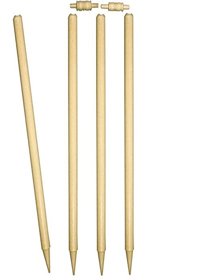 Protoner Wsg Cricket Stumps Set of 4 Pcs with bails - Image 1