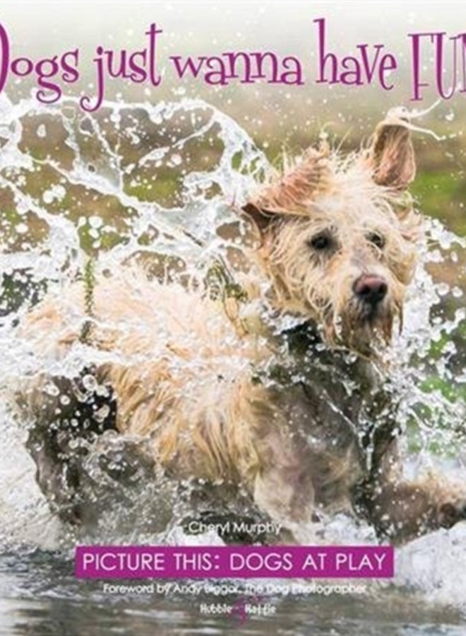 Dogs just wanna have FUN! : Picture this: Dogs at Play
