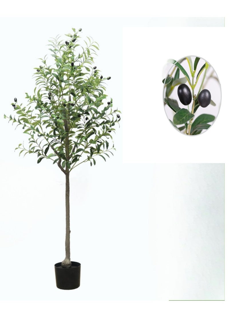 Generic (150CM) Artificial Olive Tree in Black Plastic Pot - Realistic Faux Potted Silk Plant with Lifelike Branches & Fruits, Perfect for Indoor/Outdoor Home, Office, Garden Decor – Modern Floor Tree for Living Room, Housewarming Gift  - Image 1