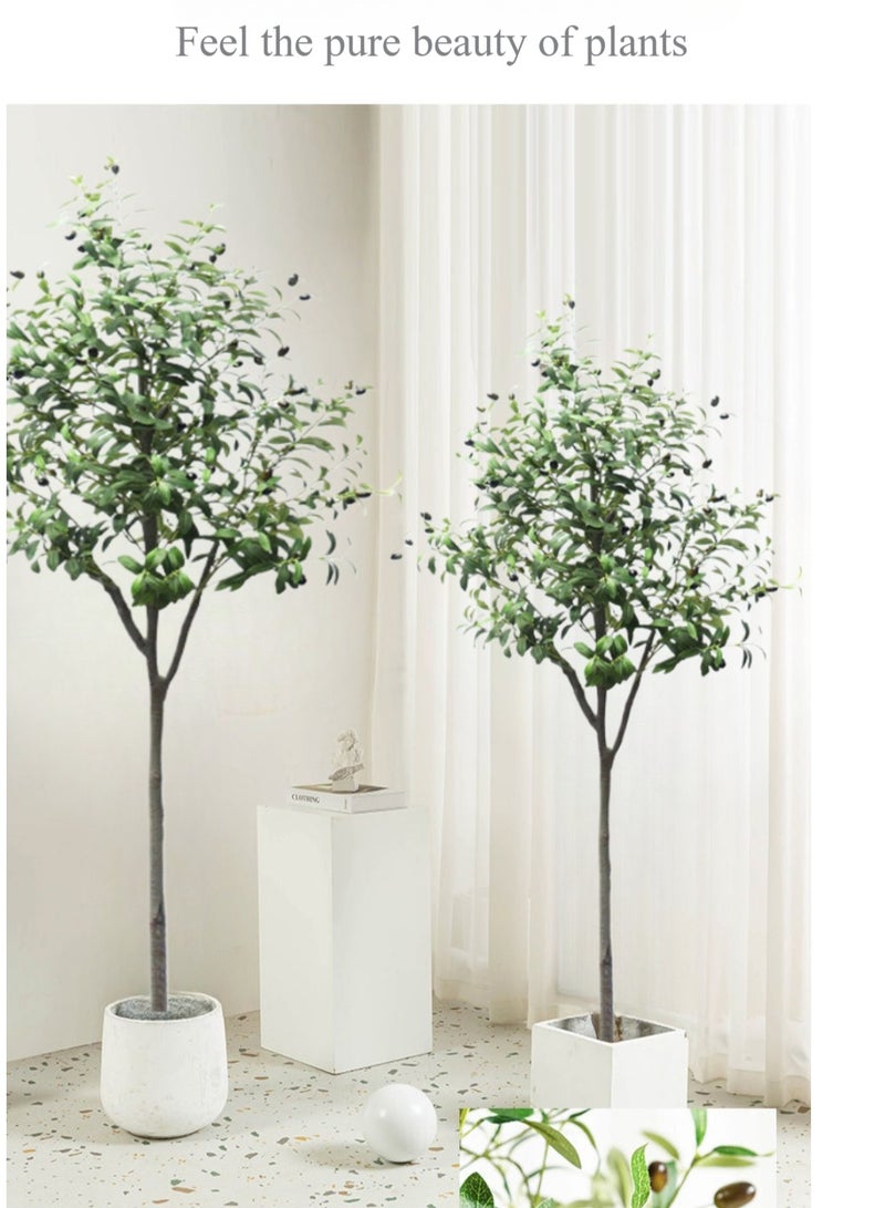 Generic (150CM) Artificial Olive Tree in Black Plastic Pot - Realistic Faux Potted Silk Plant with Lifelike Branches & Fruits, Perfect for Indoor/Outdoor Home, Office, Garden Decor – Modern Floor Tree for Living Room, Housewarming Gift  - Image 5