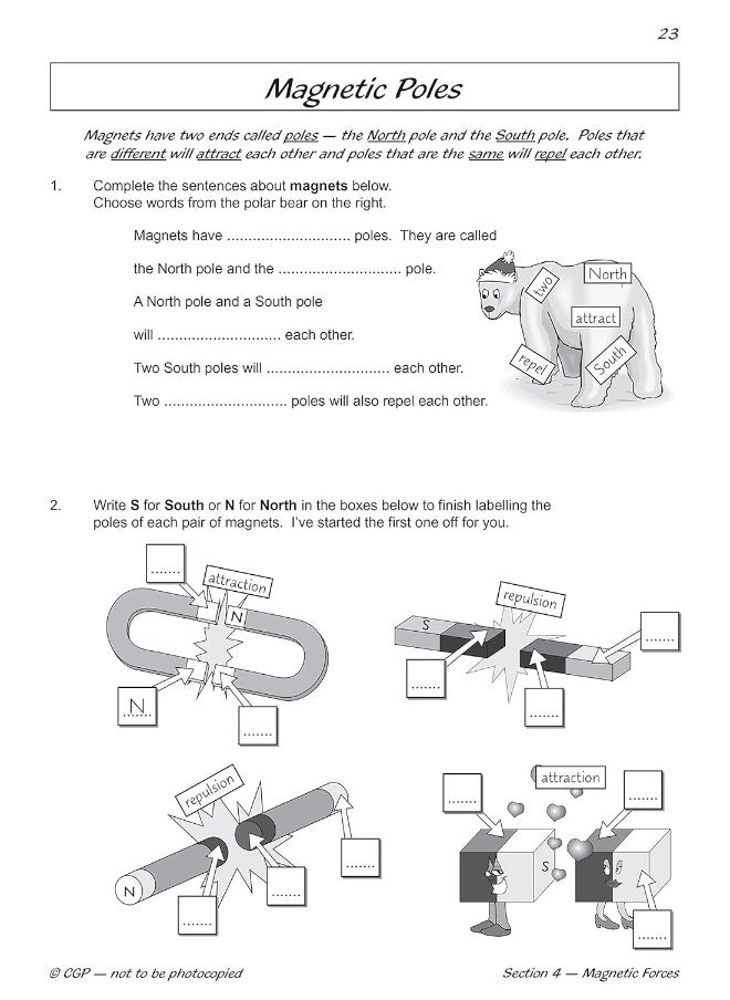 null - KS2 Science Year Three Workout: Light & Forces (CGP KS2 Science) - Image 1