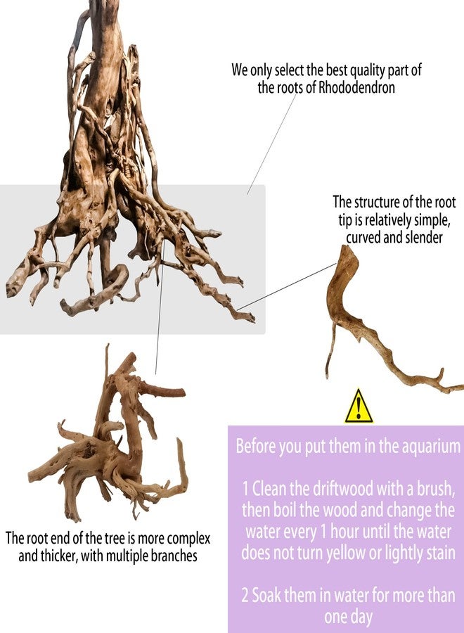 Vmiapxo 8 Pieces Natural Driftwood for Aquarium Decor, Assorted Sinkable Spider Wood, Reptile Drift Wood Branches Fish Tank Decorations (4''-6'') - Image 3