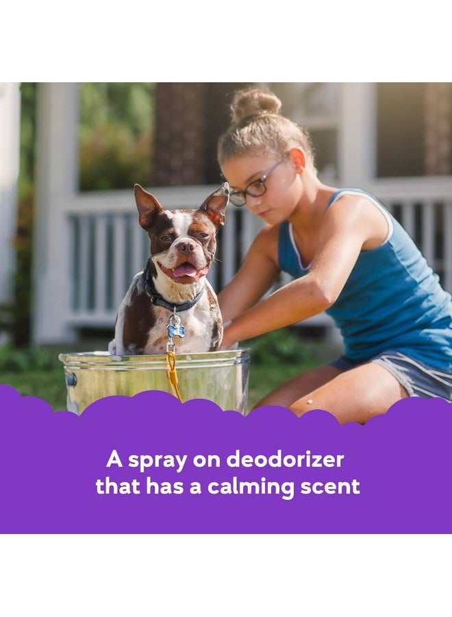 BUDDY BISCUITS Buddy Splash Spritzer & Conditioner for Dog Grooming, Lavender & Mint, 4 Oz. Bottle - Image 3