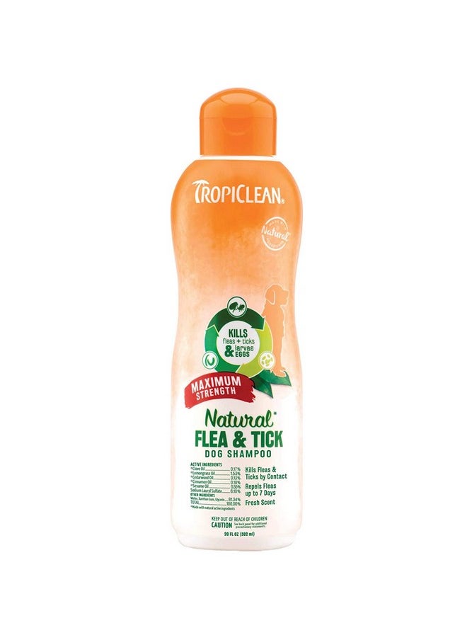 TropiClean Natural Flea & Tick Maximum Strength Shampoo For Dogs, Pet Safe Treatment Prevent And Kills Up To 99% Of Fleas, Soap Free, Essential Oils Added, 592 Ml  - Image 1