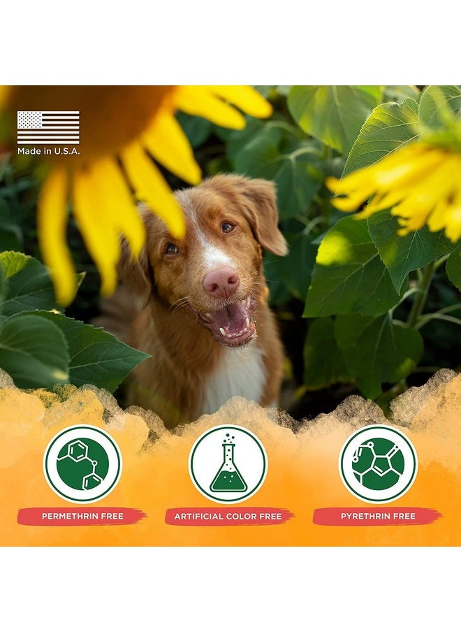 TropiClean Natural Flea & Tick Maximum Strength Shampoo For Dogs, Pet Safe Treatment Prevent And Kills Up To 99% Of Fleas, Soap Free, Essential Oils Added, 592 Ml  - Image 4
