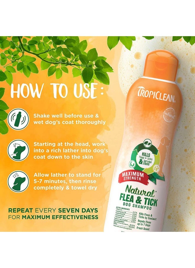 TropiClean Natural Flea & Tick Maximum Strength Shampoo For Dogs, Pet Safe Treatment Prevent And Kills Up To 99% Of Fleas, Soap Free, Essential Oils Added, 592 Ml  - Image 5