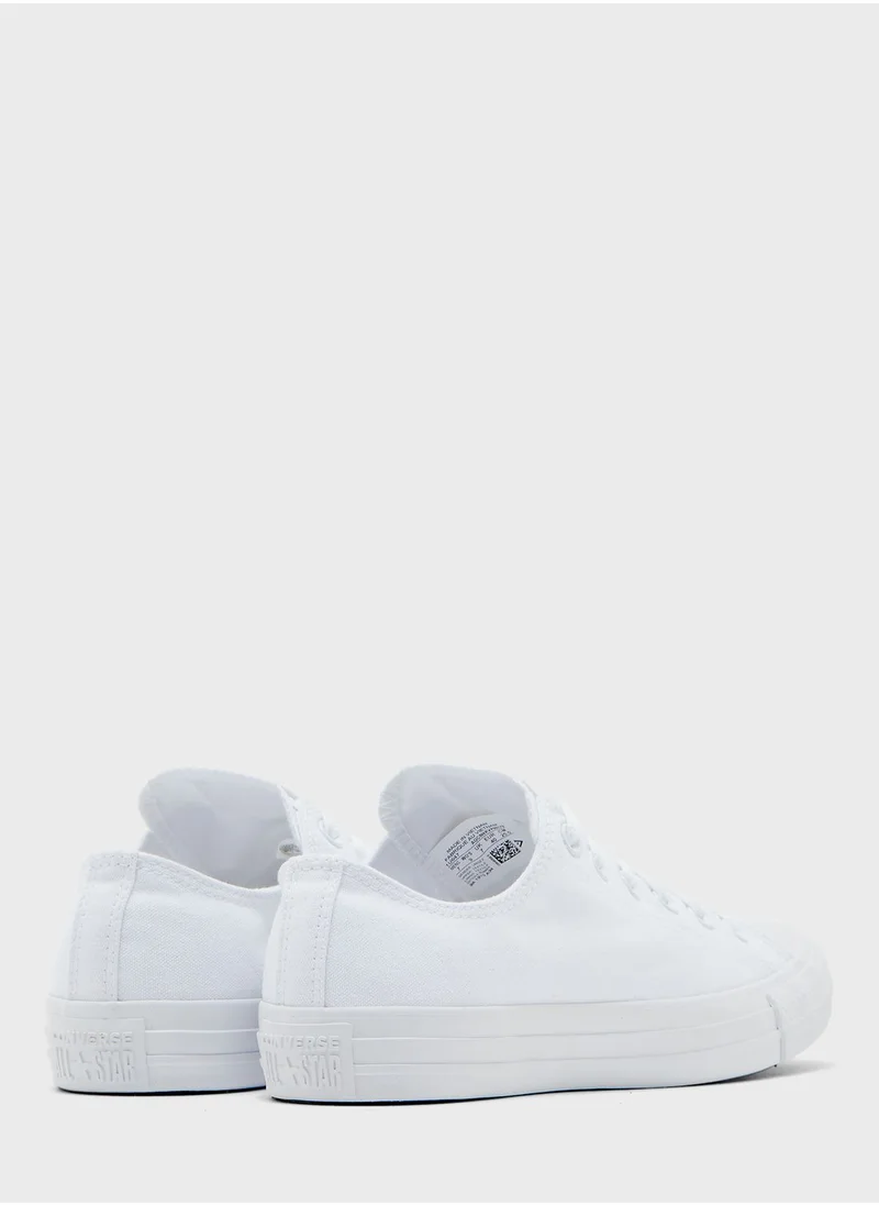 CONVERSE Chuck Taylor All Star Seasonal
