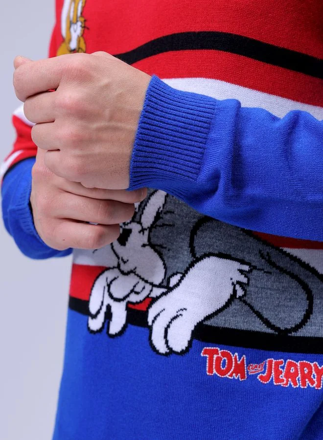شركة المرآب الهندية Men Anime Character Crew Neck Sweater