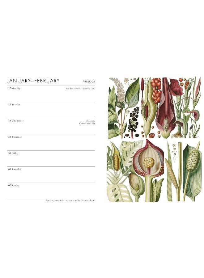RHS Desk Diary 2025