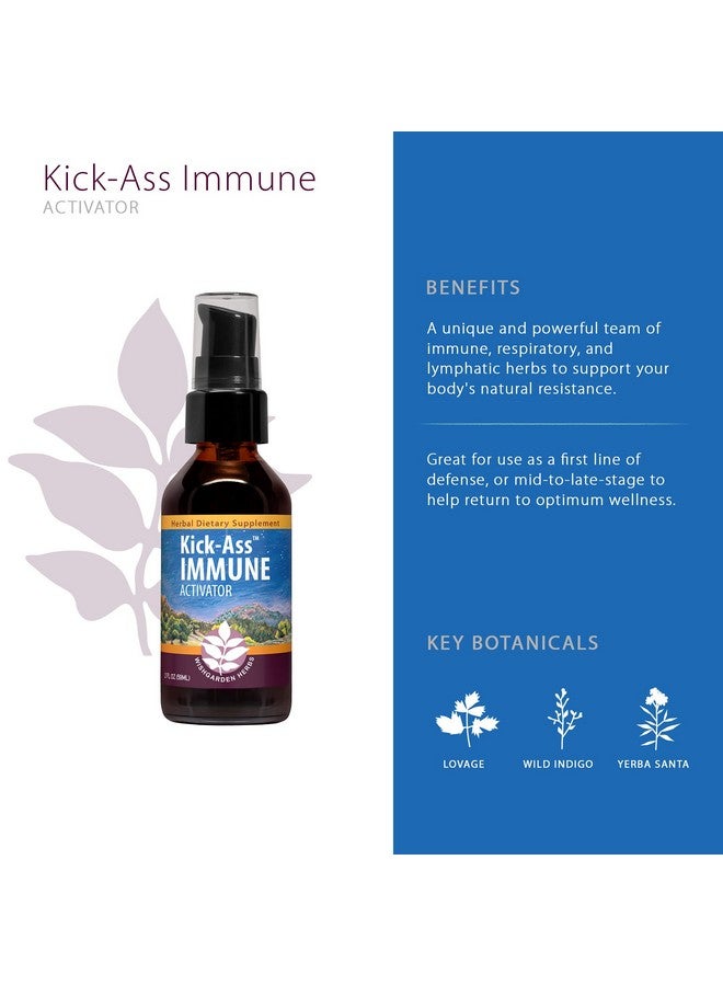 Wishgarden Herbs Kickass Immune Activator Immunity Support Supplement For Adults Herbal Immune Defense & Immune Booster With Echinacea Osha Elder Goldenseal Fast Immunity Boost Formula 4Oz - Image 4