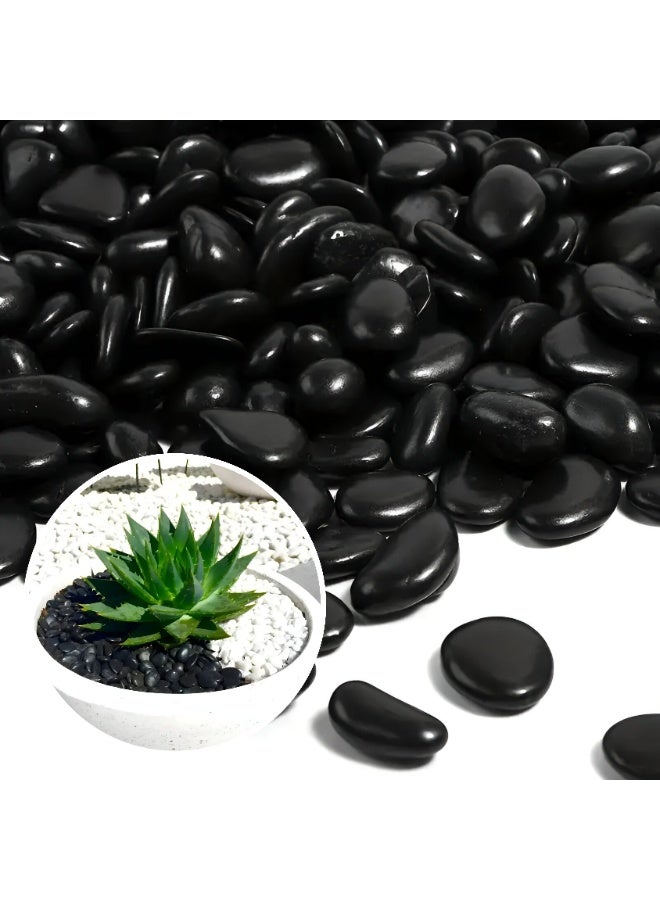 أرابيكو حصى زخرفية سوداء، وزنها 2.5 رطل، وصخور نهرية مصقولة بطول 2-5 سم، مناسبة للمناظر الطبيعية، وحشو المزهريات، وأحواض السمك، والحرف اليدوية، وديكور المنزل والحديقة، وأحجار مصقولة ناعمة للاستخدام الداخلي والخارجي. - Image 1