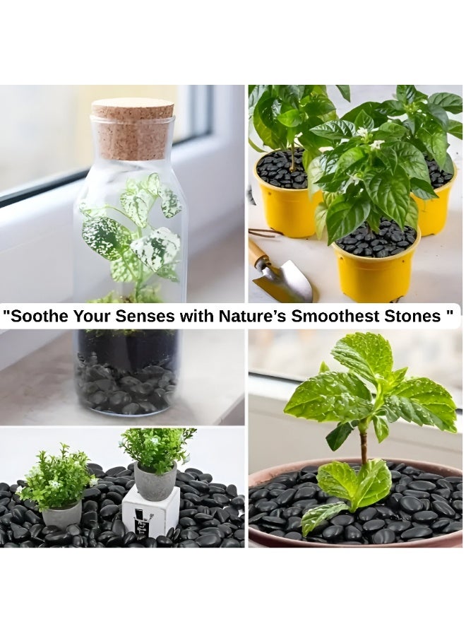 أرابيكو حصى زخرفية سوداء، وزنها 2.5 رطل، وصخور نهرية مصقولة بطول 2-5 سم، مناسبة للمناظر الطبيعية، وحشو المزهريات، وأحواض السمك، والحرف اليدوية، وديكور المنزل والحديقة، وأحجار مصقولة ناعمة للاستخدام الداخلي والخارجي. - Image 5
