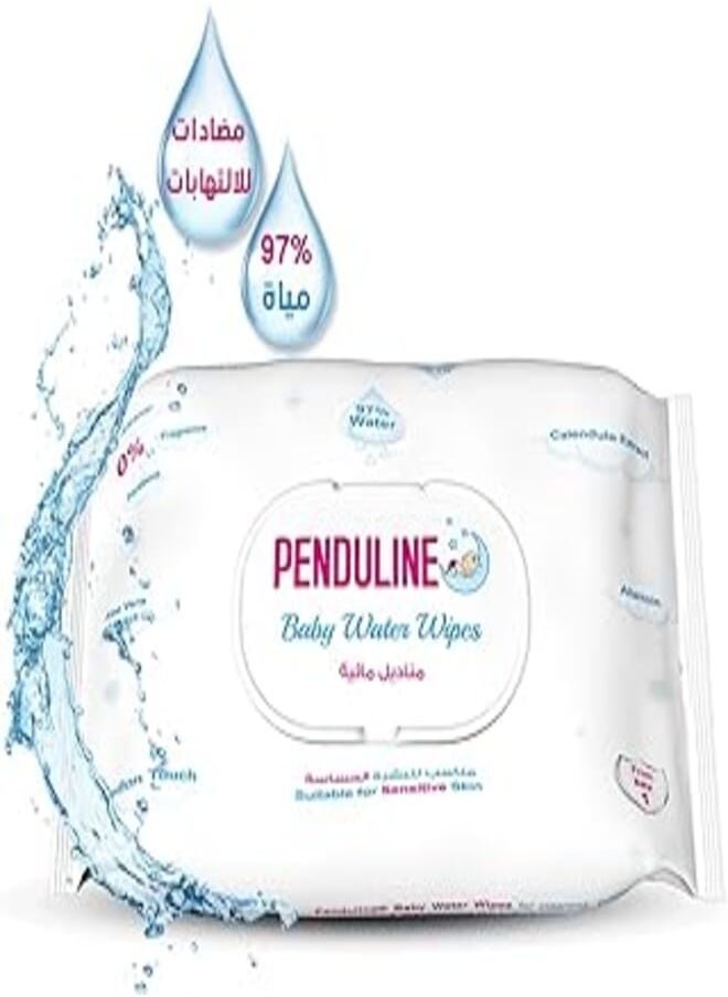 PENDULINE Penduline Baby Water Wipes 70 pics 