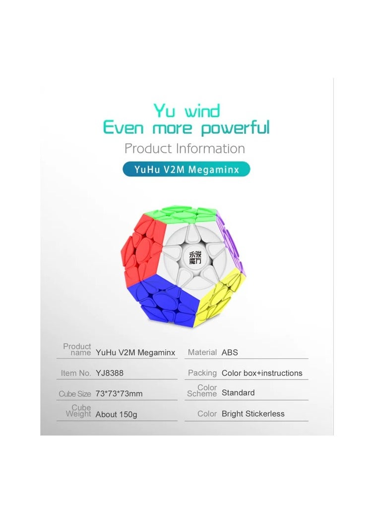 YJ YU Megaminx Magnetic Speedcube  Stickerless