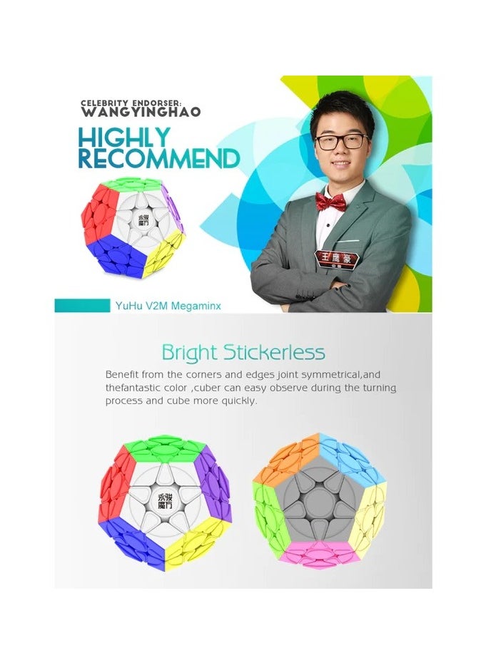 YJ YU Megaminx Magnetic Speedcube  Stickerless