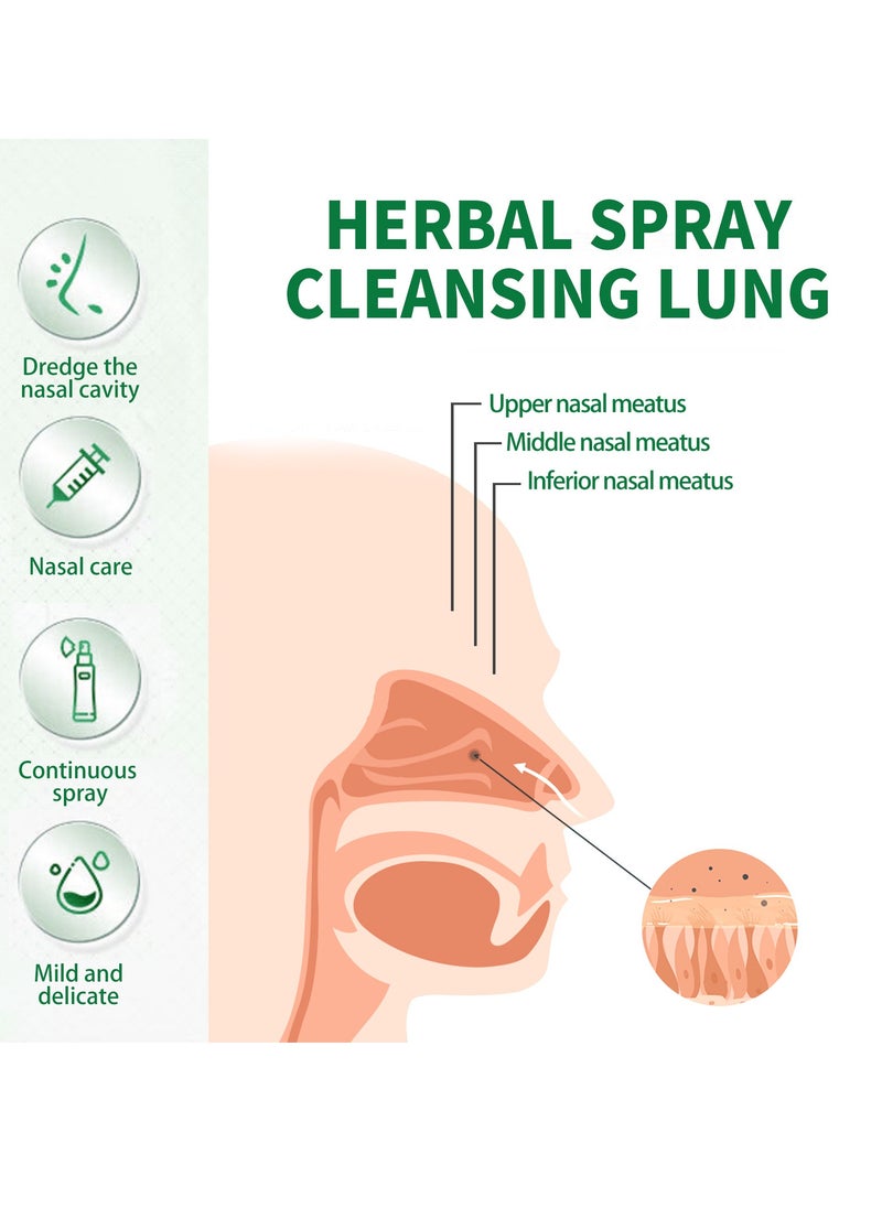 SOUTH MOON Natural Herbal Throat Oral Spray Relieves Throat and Nasal Discomforts Throat and Nose Care Spray 20ml  - Image 4
