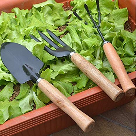FreshDcart FDCGT02 Piece Gardening Tool Set Mini Wood Handle Cultivator,Gardening Trowel,Garden Forks,Gardening Tool Set,Garden Tools (Set of 3) - Image 5