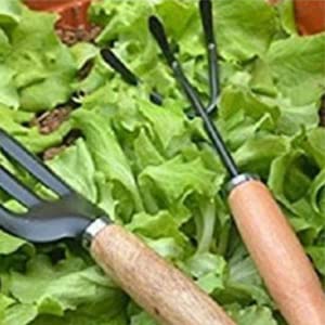 FreshDcart FDCGT02 Piece Gardening Tool Set Mini Wood Handle Cultivator,Gardening Trowel,Garden Forks,Gardening Tool Set,Garden Tools (Set of 3) - Image 4