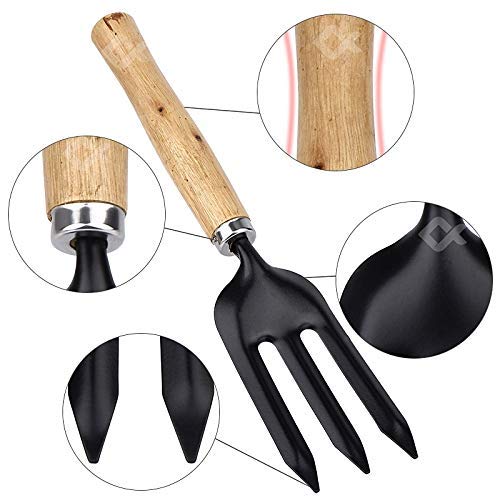 FreshDcart FDCGT02 Piece Gardening Tool Set Mini Wood Handle Cultivator,Gardening Trowel,Garden Forks,Gardening Tool Set,Garden Tools (Set of 3) - Image 2