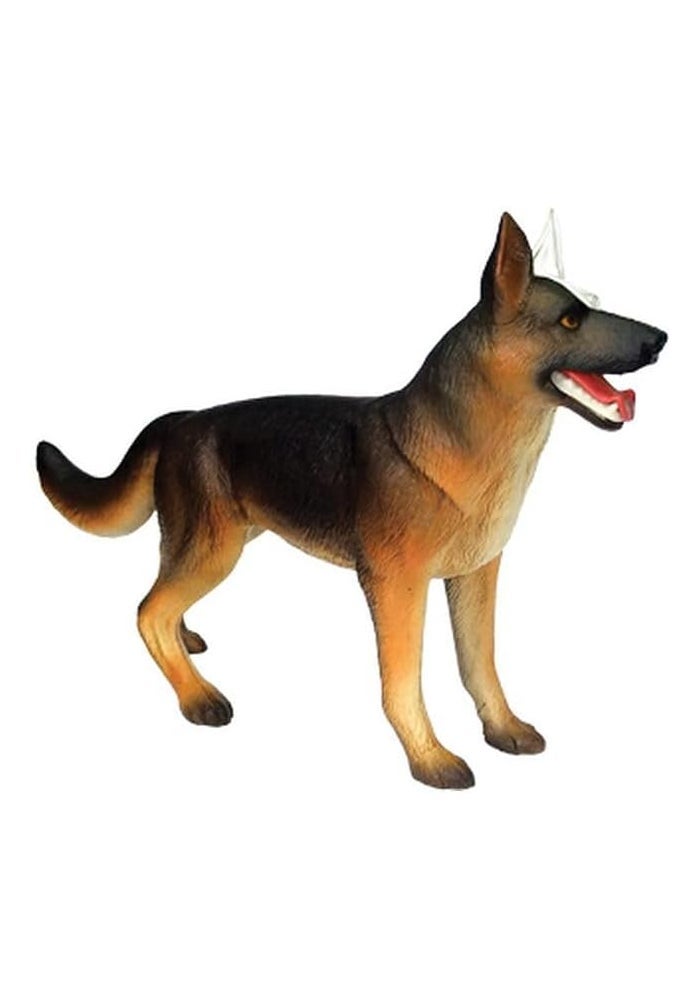 TEDCO 4D Vision Dog Anatomy Model with 28 Detachable Organs and Illustrated Guide - Image 2