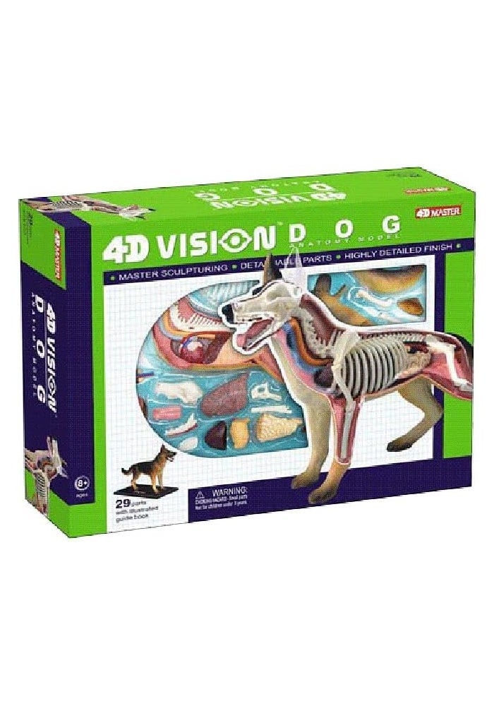 TEDCO 4D Vision Dog Anatomy Model with 28 Detachable Organs and Illustrated Guide - Image 4