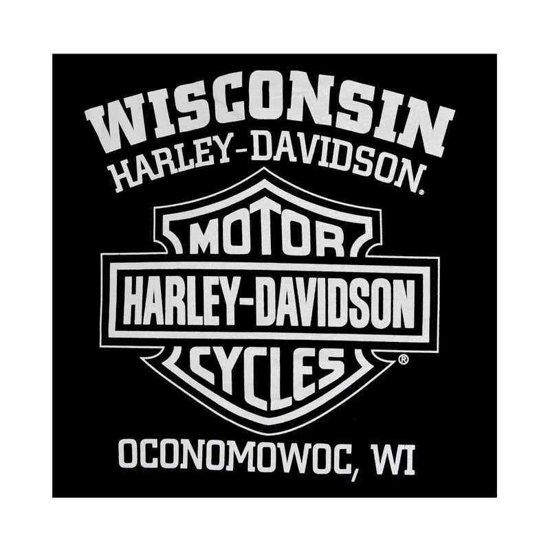 HARLEY DAVIDSON Harley-Davidson Men's T-Shirt Eagle Graphic Short Sleeve Black Tee 30296656 (L) - Image 2