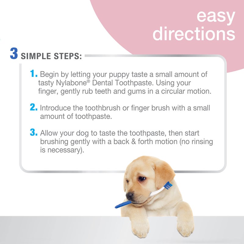 Nylabone Advanced Oral Care Puppy Dental Kit Puppy Original 3 Count - Image 3