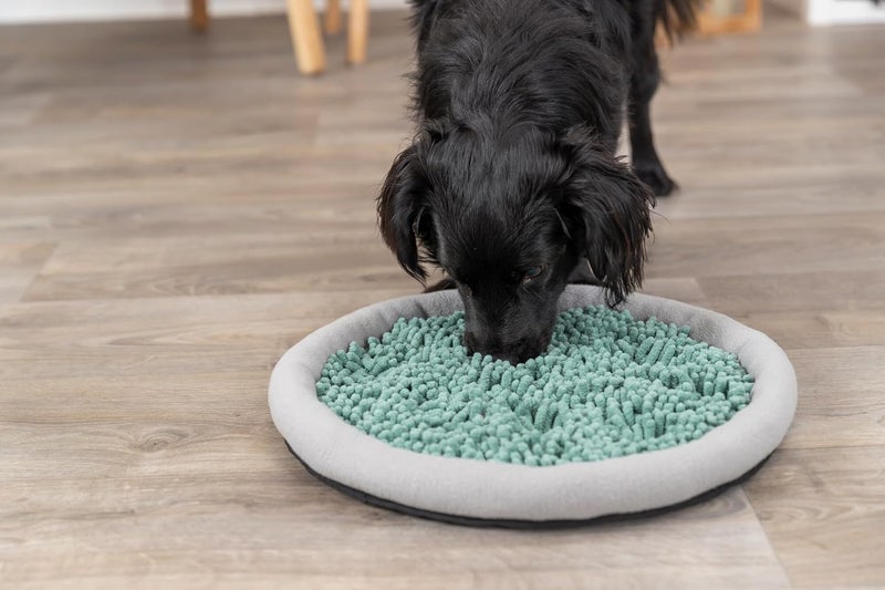 TRIXIE Snuffle  Seek Plate Snuffle Mat for Dogs Level 1 Interactive Dog Toys Enrichment Puzzle Slow Feeder - Image 3