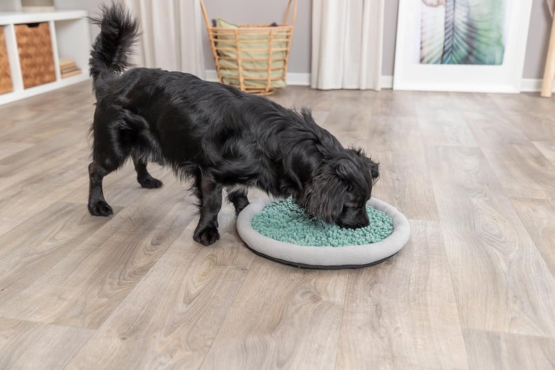 TRIXIE Snuffle  Seek Plate Snuffle Mat for Dogs Level 1 Interactive Dog Toys Enrichment Puzzle Slow Feeder - Image 2