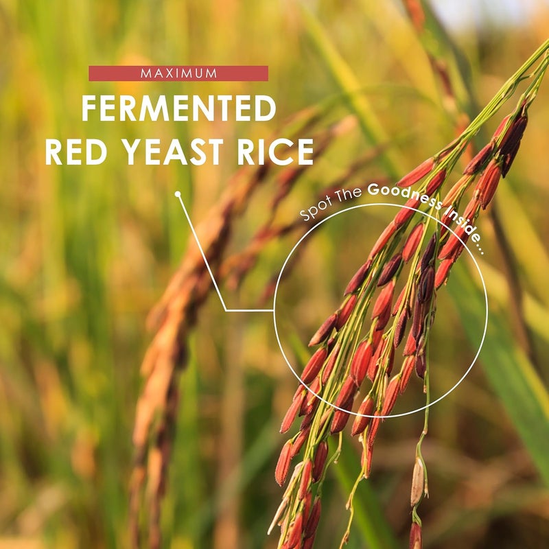 ALPHA01 أرز الخميرة الحمراء 600 ملغ - 2.4 ملغ من موناكولين ك - 90 كبسولة نباتية - مكمل موناسكوس بوربريوس عالي القوة - إمداد لمدة 3 أشهر - كيس قابل لإعادة الإغلاق وإعادة التدوير من ألفا01 - Image 4