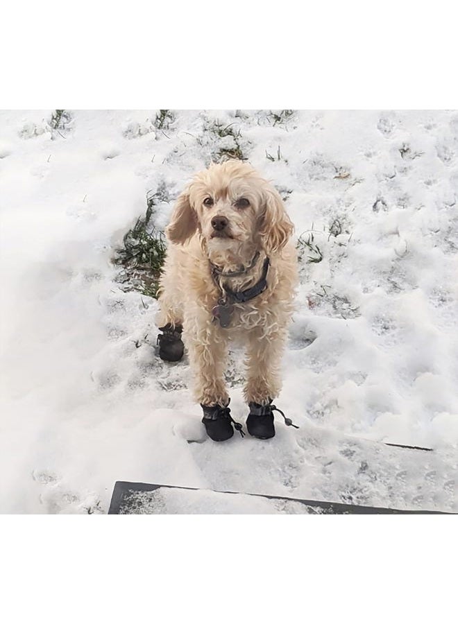 YAODHAOD Dog Shoes for Small Dogs, Anti-Slip Dogs Boots & Paw Protector for Winter Snowy Day, Summer Hot Pavement Dog Booties with Reflective Straps, Cat Dog Shoe for Indoor Hardfloors (Black, 2) - Image 2